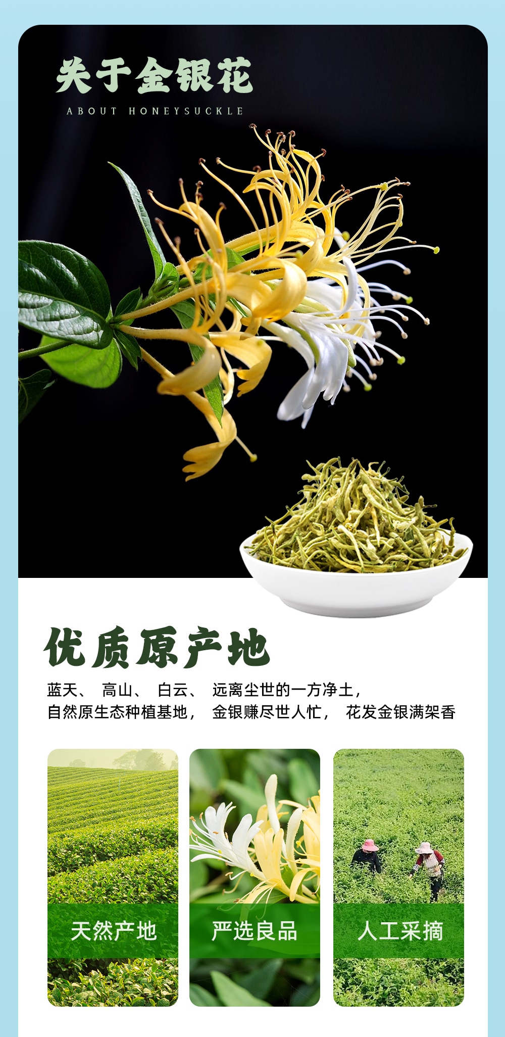 金銀花露410ml-詳情頁(yè)_06.jpg